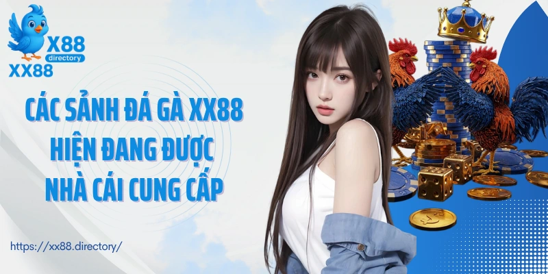 Các sảnh đá gà XX88 hiện đang được nhà cái cung cấp