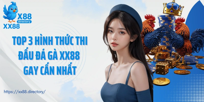 Top 3 hình thức thi đấu đá gà XX88 gay cấn nhất